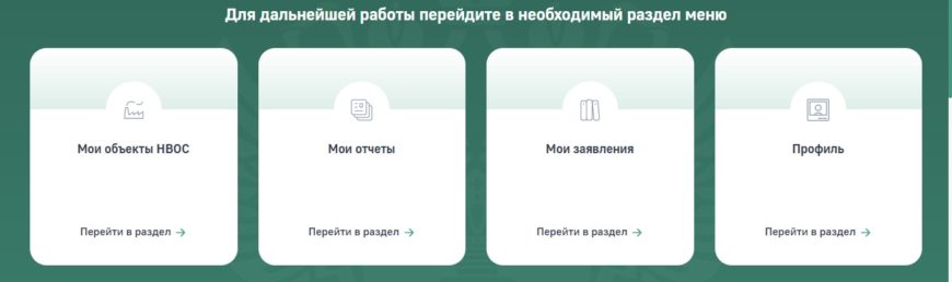 Рпн личный кабинет природопользователя через какой браузер